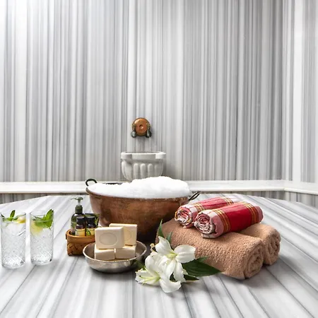 Ramada Plaza By Wyndham Atakoy 4* اسطنبول